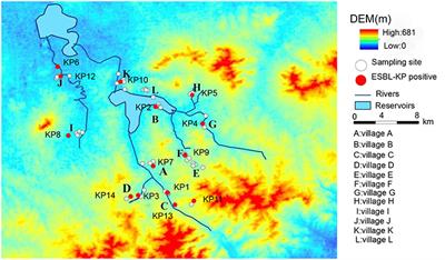 Characterization of Clinically Relevant Strains of Extended-Spectrum β-Lactamase-Producing Klebsiella pneumoniae Occurring in Environmental Sources in a Rural Area of China by Using Whole-Genome Sequencing